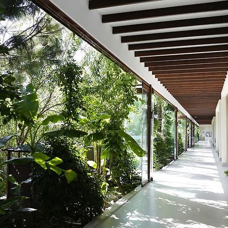 The Lifeco Bodrum Well-Being Detox Center And Vegan Hotel (Adults Only) Golturkbuku Exterior photo